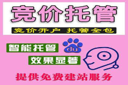 成功案例：SEM外包公司如何打造高效广告投放方案